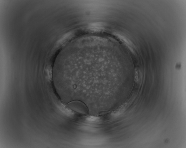 X0000101150718200807071149