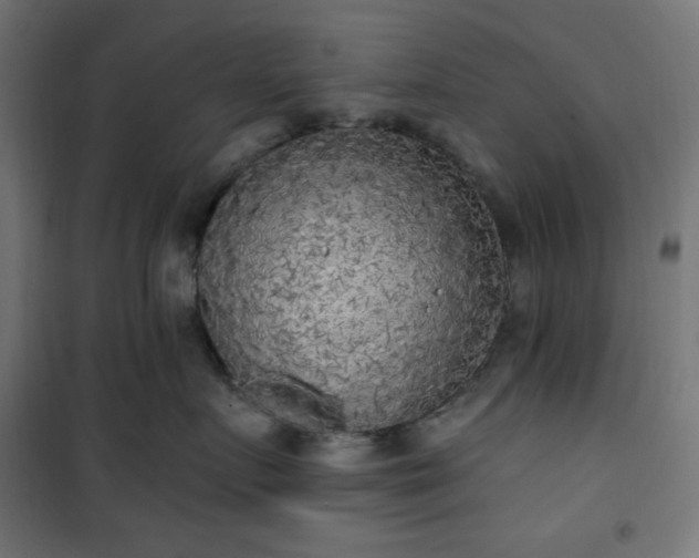 X0000101150719200807071149