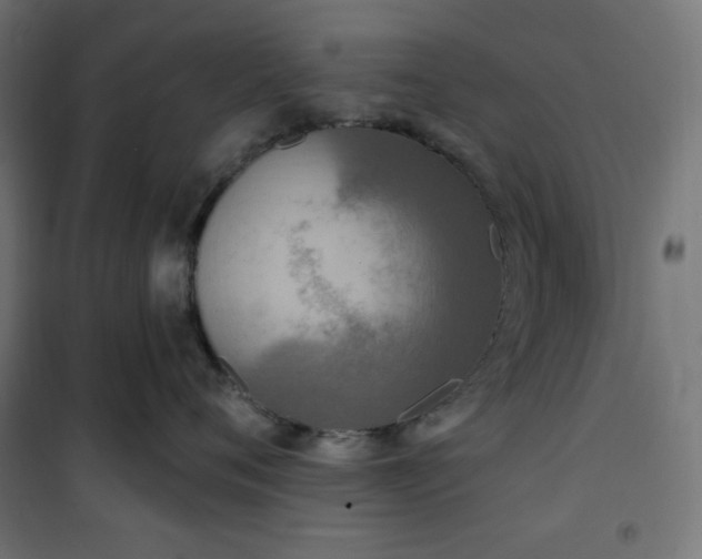 X0000101150720200807071149