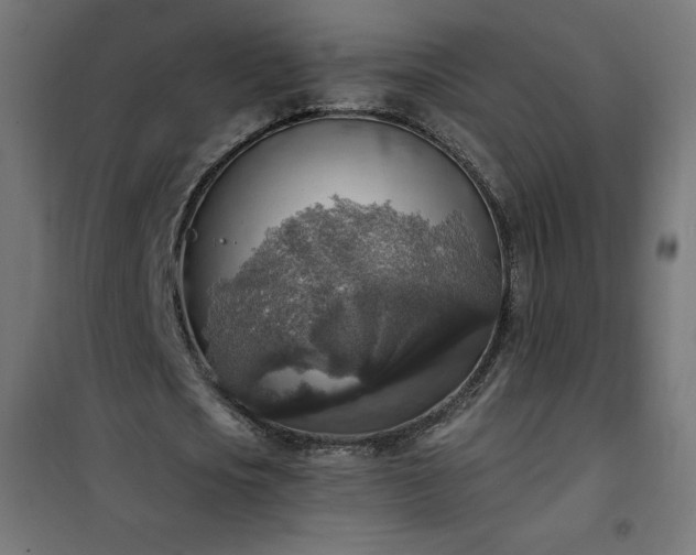 X0000101150721200807071149