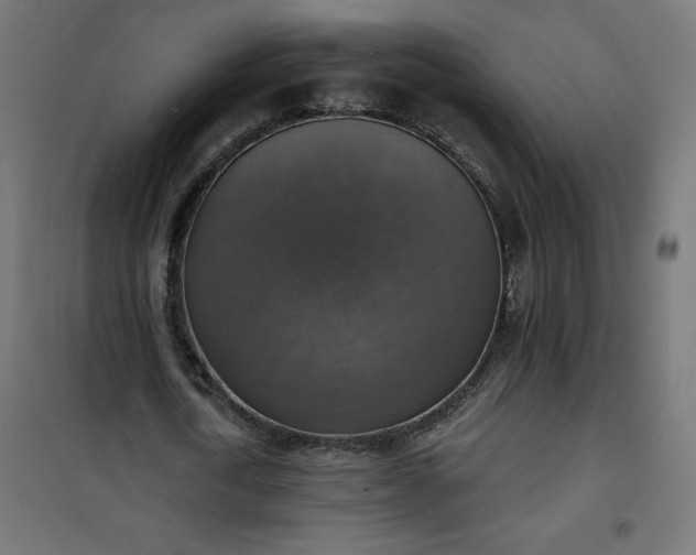 X0000101150722200807071149