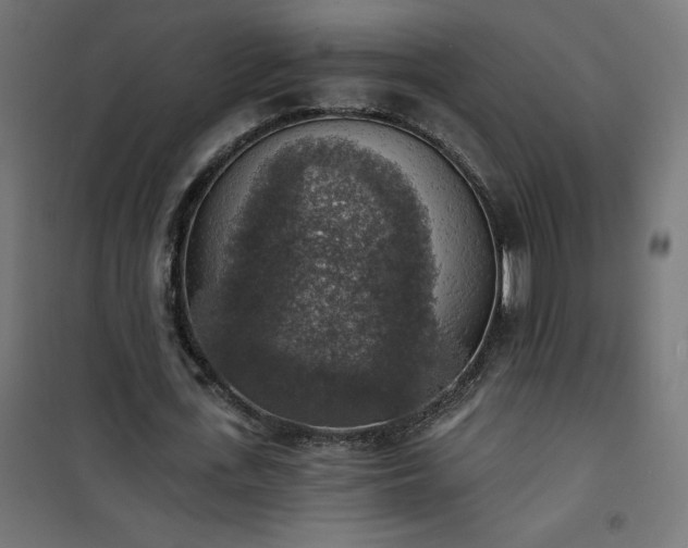 X0000101150723200807071149