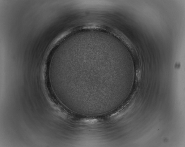 X0000101150724200807071149