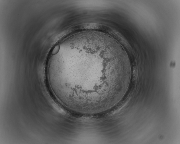 X0000101150725200807071149