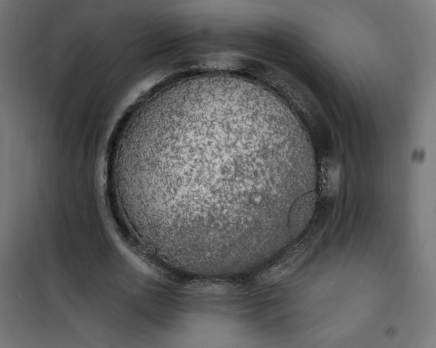 X0000101150726200807071149