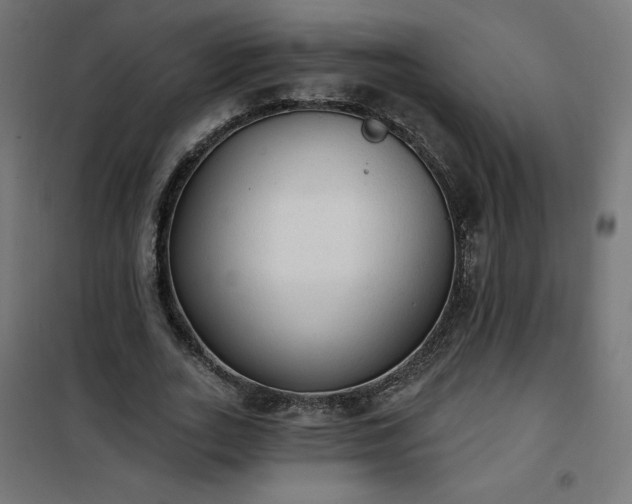 X0000101150727200807071149