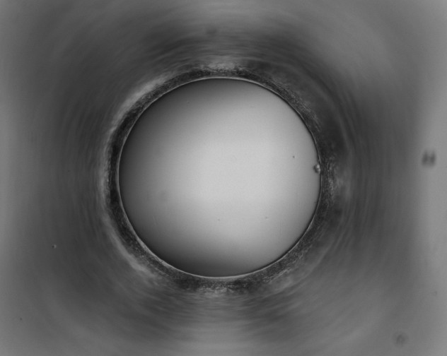 X0000101150728200807071149