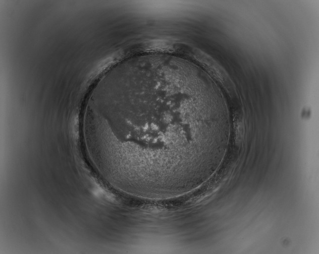 X0000101150729200807071149