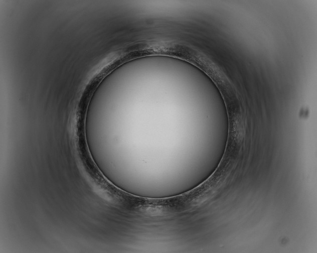 X0000101150730200807071149