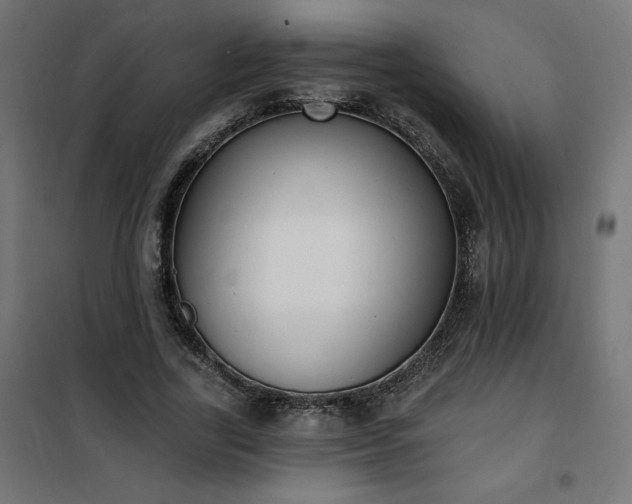 X0000101150731200807071149