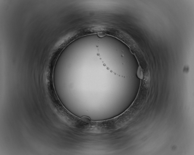 X0000101150732200807071149