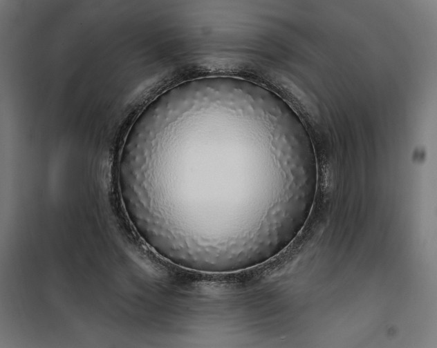 X0000101150733200807071149