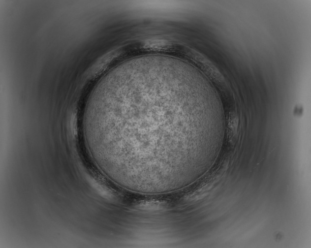 X0000101150734200807071149