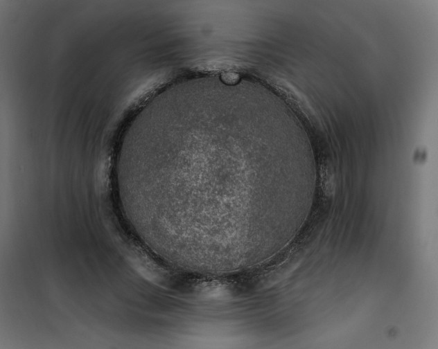 X0000101150735200807071149