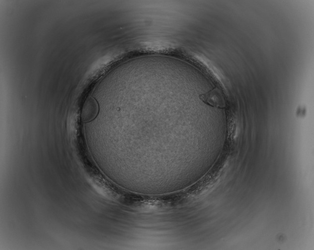 X0000101150736200807071149