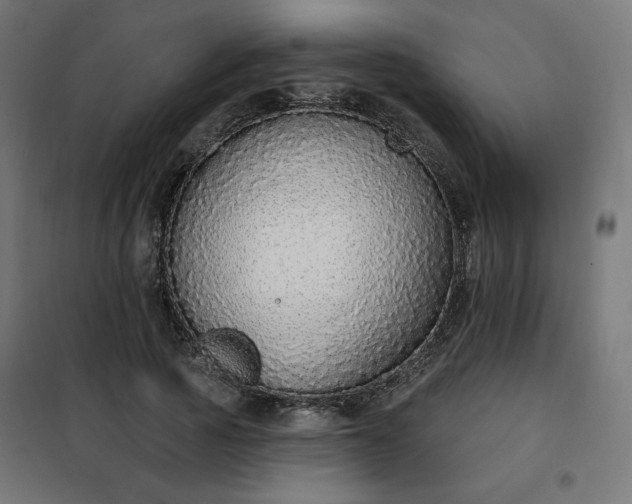 X0000101150737200807071149