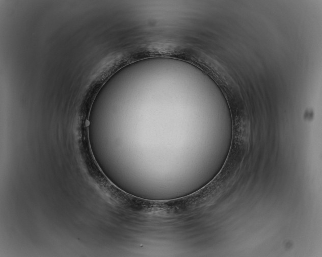 X0000101150738200807071149