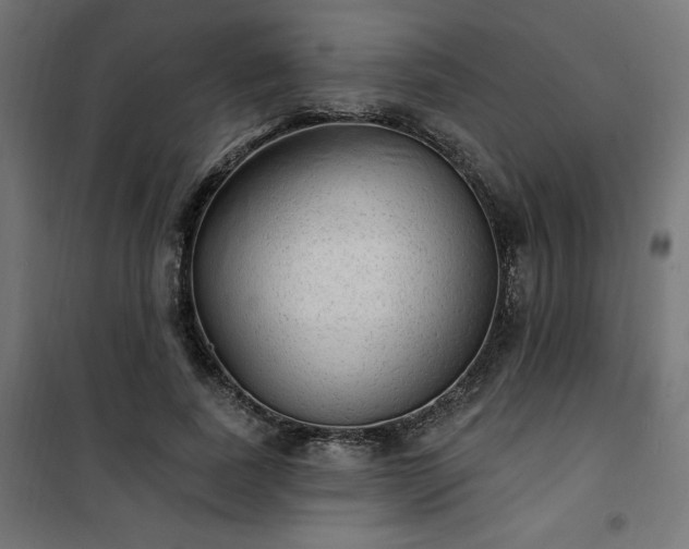 X0000101150739200807071149