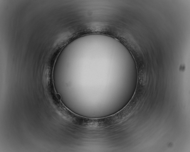 X0000101150740200807071149