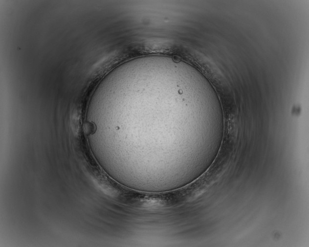 X0000101150741200807071149