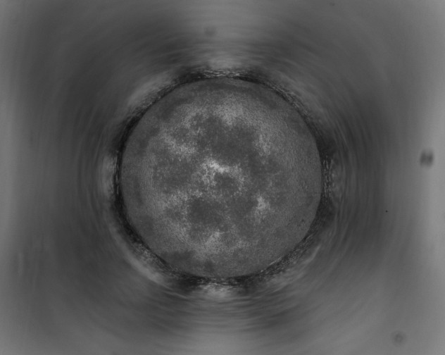 X0000101150742200807071149