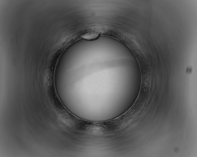 X0000101150743200807071149