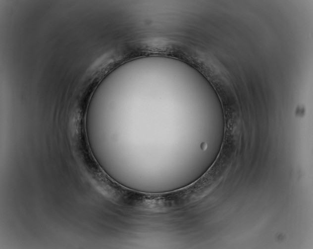 X0000101150744200807071149