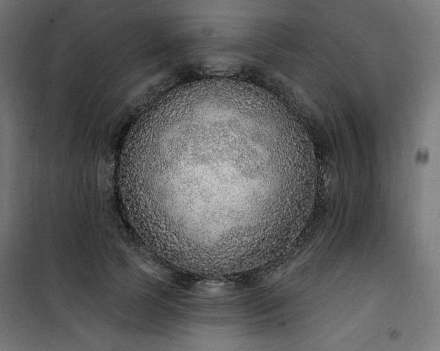 X0000101150745200807071149