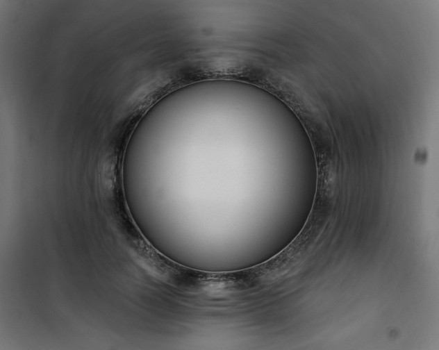 X0000101150746200807071149