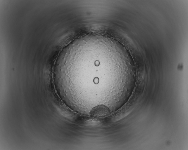 X0000101150749200807071149