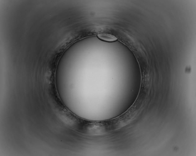 X0000101150750200807071149