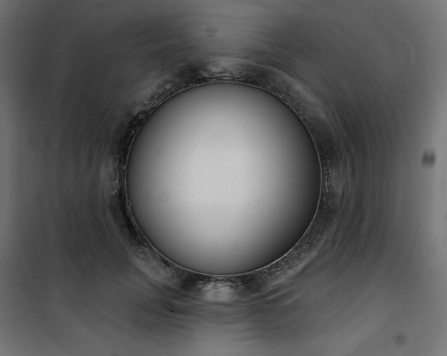 X0000101150751200807071149