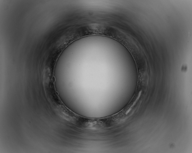 X0000101150752200807071149