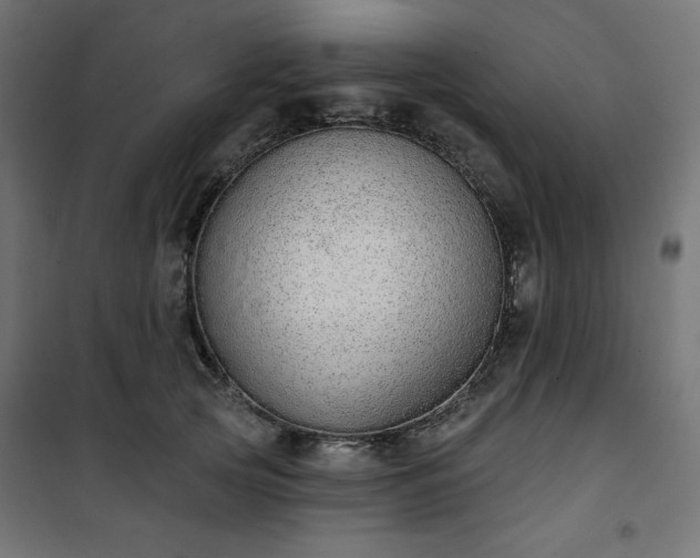 X0000101150753200807071149