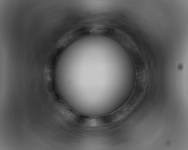 X0000101150755200807071149