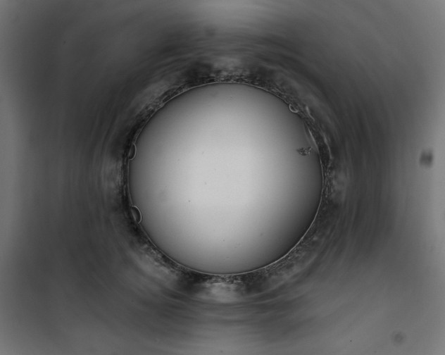 X0000101150756200807071149