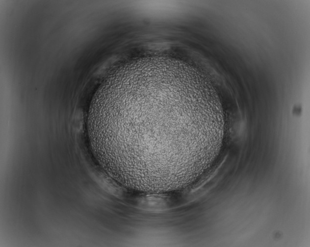 X0000101150758200807071149