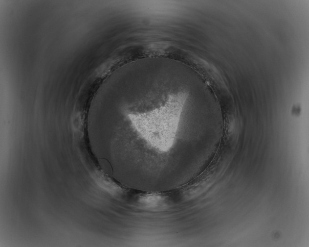 X0000101150759200807071149