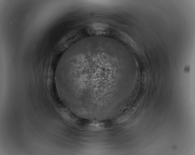 X0000101150760200807071149