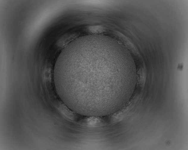 X0000101150762200807071149