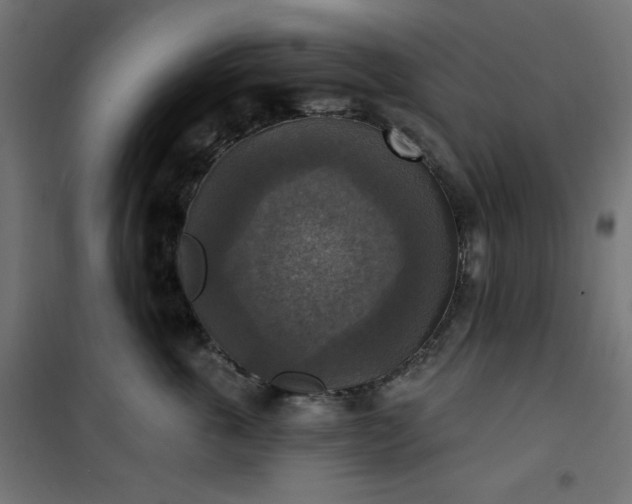 X0000101150763200807071149