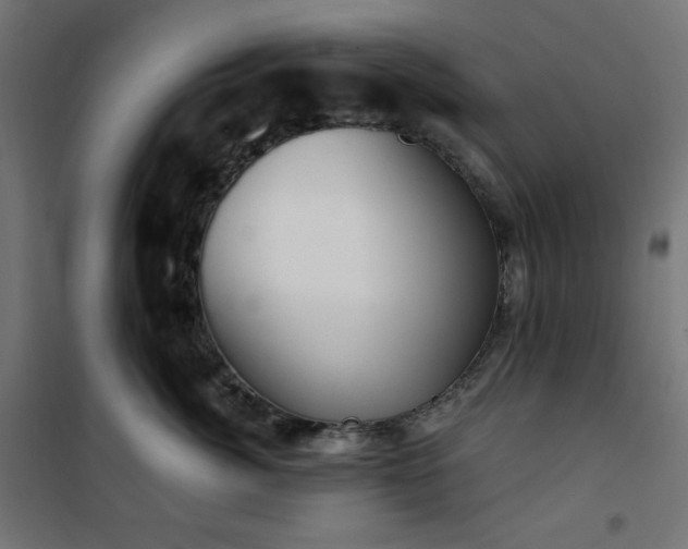 X0000101150764200807071149