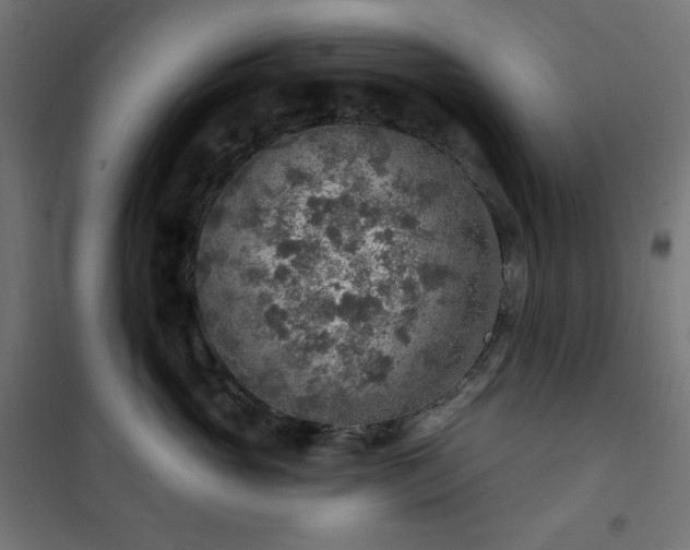 X0000101150765200807071149