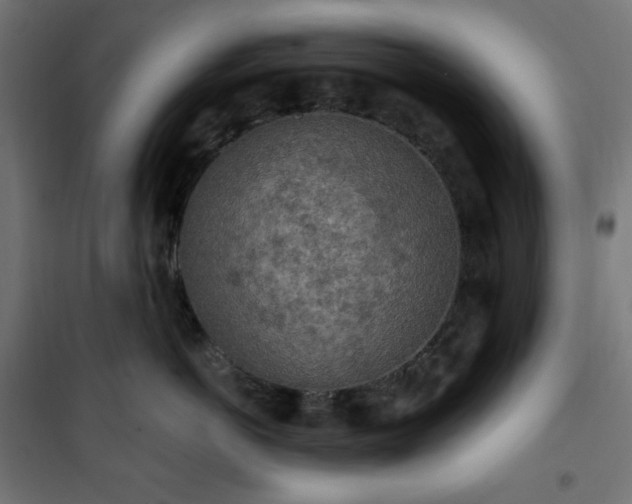 X0000101150766200807071149