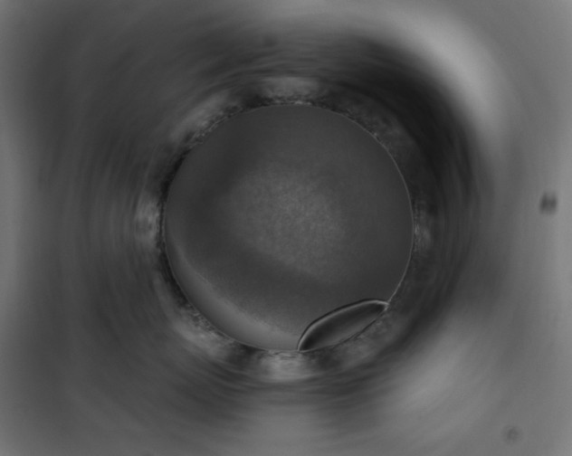 X0000101150767200807071149