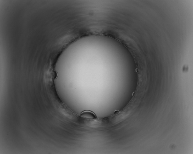 X0000101150768200807071149