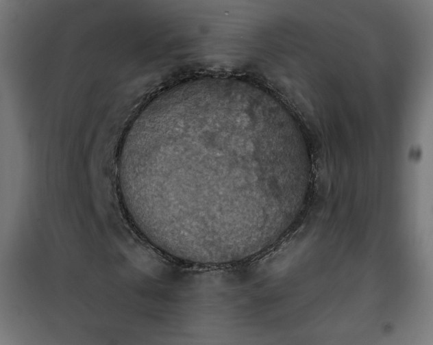 X0000101150769200807071148