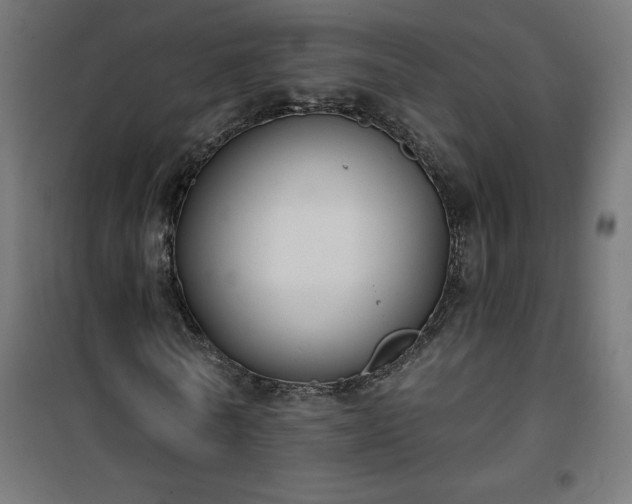 X0000101150770200807071148