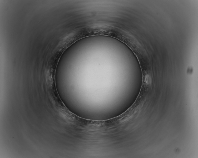 X0000101150771200807071148