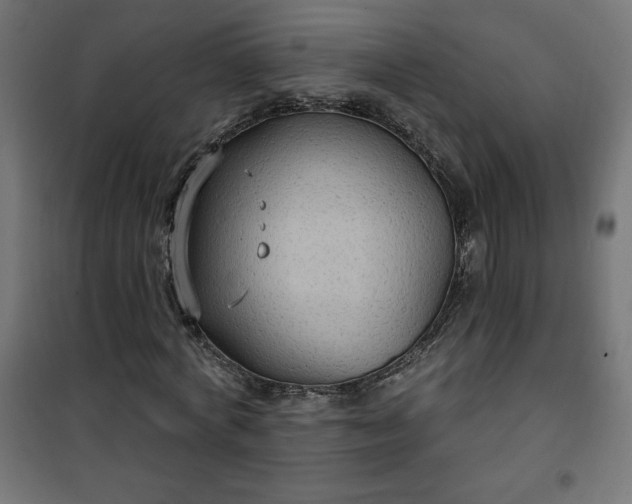 X0000101150772200807071148